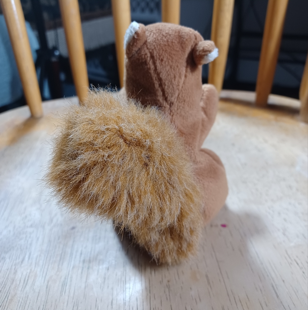 -RETIRED ORIGINAL Ty Beanie Baby NUTS the Squirrel sitting stuffed Plush NO TAGS - Picture 5 of 12